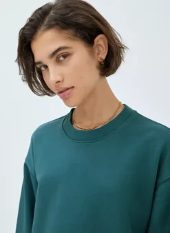 Extra Fleece Boyfriend Crew Sweatshirt -Agolde Shop f21 03 a03 92026 17246 on d