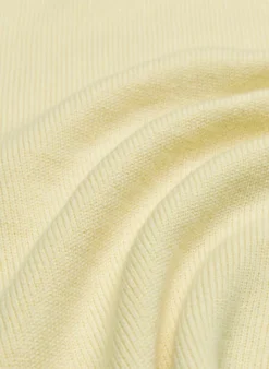 Treasures Turtleneck -Agolde Shop f22 07 a03 102282 13671 off c