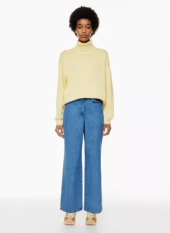 Treasures Turtleneck -Agolde Shop f22 07 a03 102282 13671 on e